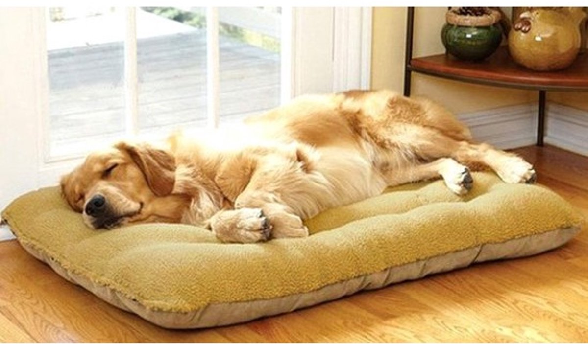 hondenmand, Hondenbed Kattenbed Huisdier Bed voor Hond en Kat, Dubbelzijdig Verkrijgbaar Hondenmatras