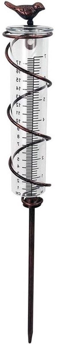Glas Regen Meter Capaciteit, Gietijzeren Opknoping Regen Meter Vogelregen Meter Tuin Regen Meter Meten Met Duurzaam Metalen Frame 50*3.5 cm