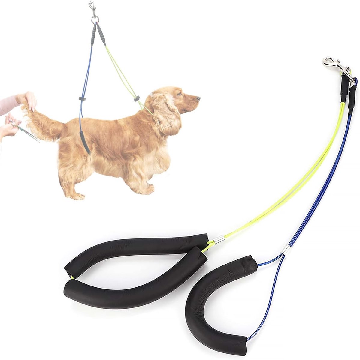 Verstelbare RVS Hondenverzorgingslijn met Schuimkatoenen Halsband, Verzorgingslus en Buikband voor Honden, Ideaal voor Professionele Dierenverzorging en Hondentrimmen