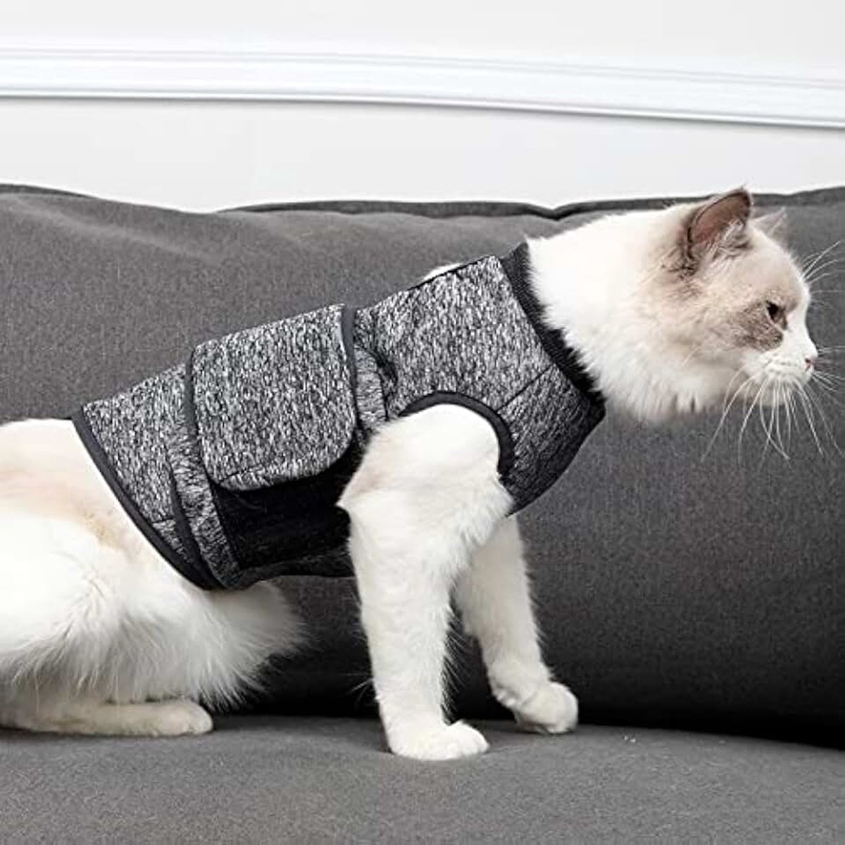 Kattenvest kattenkleding katten post-revalidatiekleding huisdier herstel pak huisdier kattenbeschermpak behandelingsvest