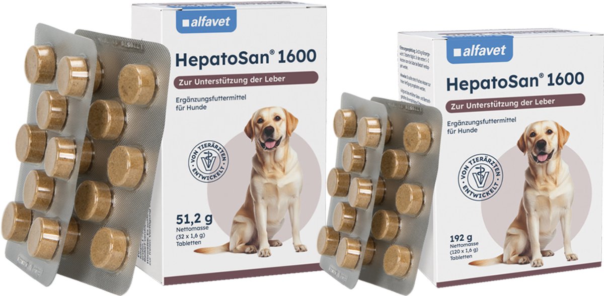 HepatoSan - 120 tabletten