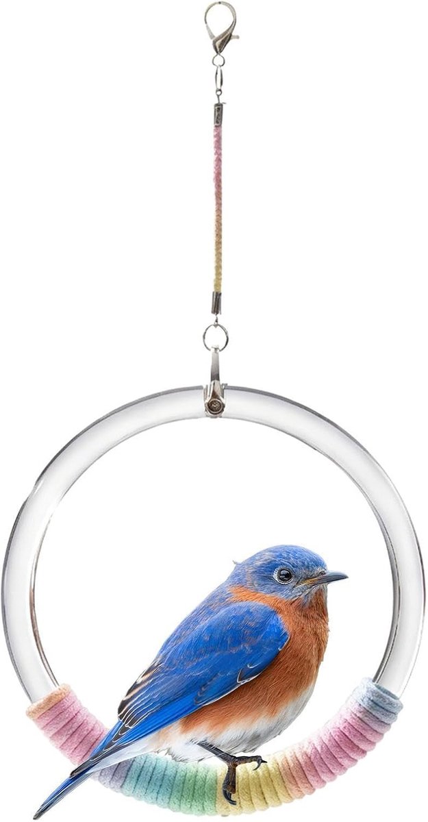 Schommel Vogel Touw Ring Zitstang Speeltje