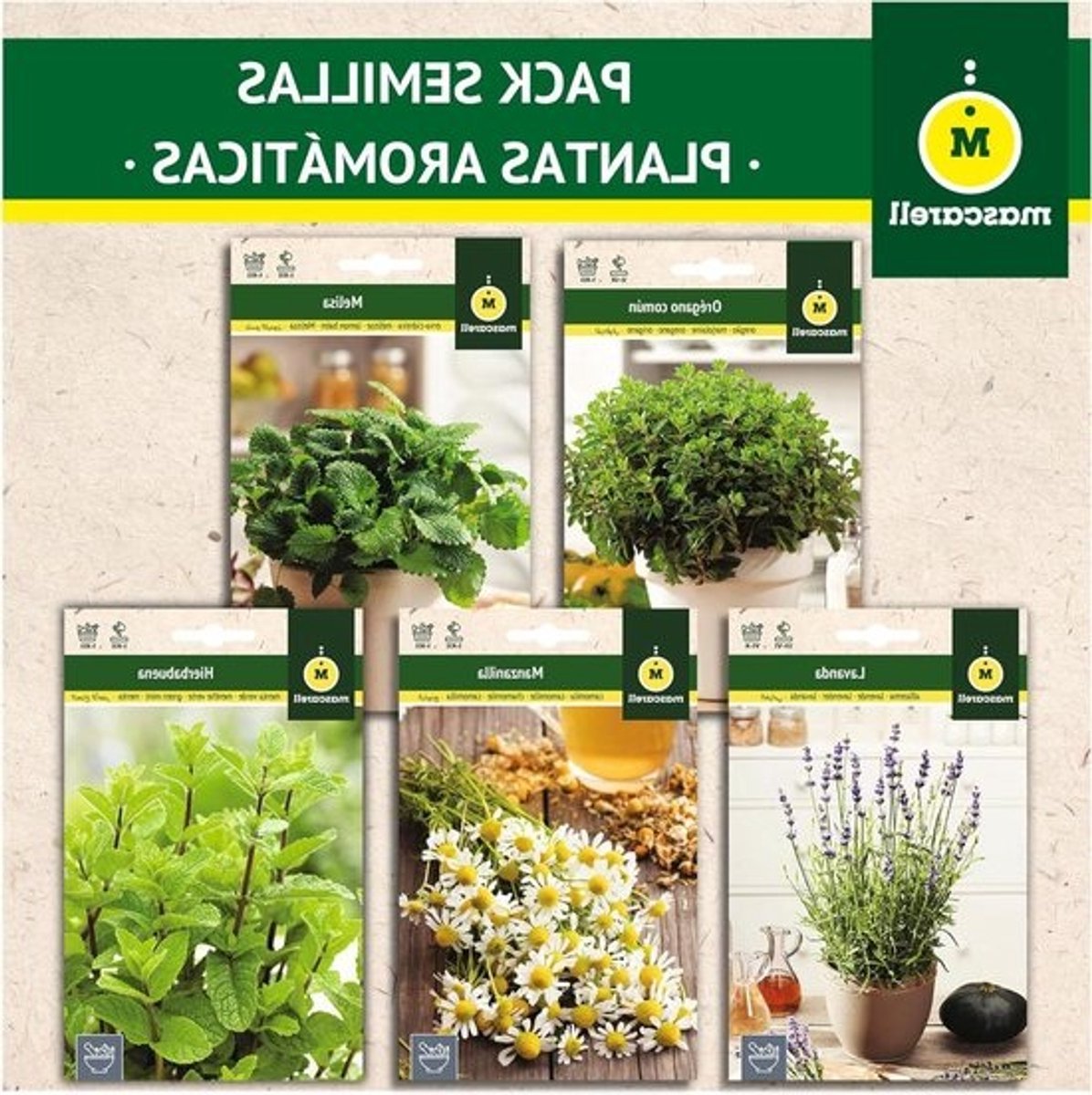 Zaden Mascarell Pakket Aromatische Planten - Munt, Kamille, Lavendel, Citroenmelisse & Oregano 37 Gram
