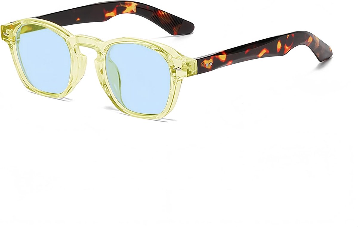 Zonnebril met dik frame, klassieke ronde zonnebril voor dames en heren, UV400-bescherming