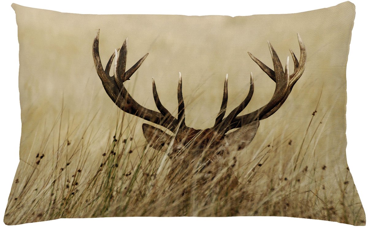 ABAKUHAUS Antler Sierkussenhoes, Whitetail Hert Fawn in Wilderness Stag in Countryside Rural Hunting Thema, Decoratieve Rechthoekige Sierkussenhoes, 65 x 40 cm, Zand Bruin