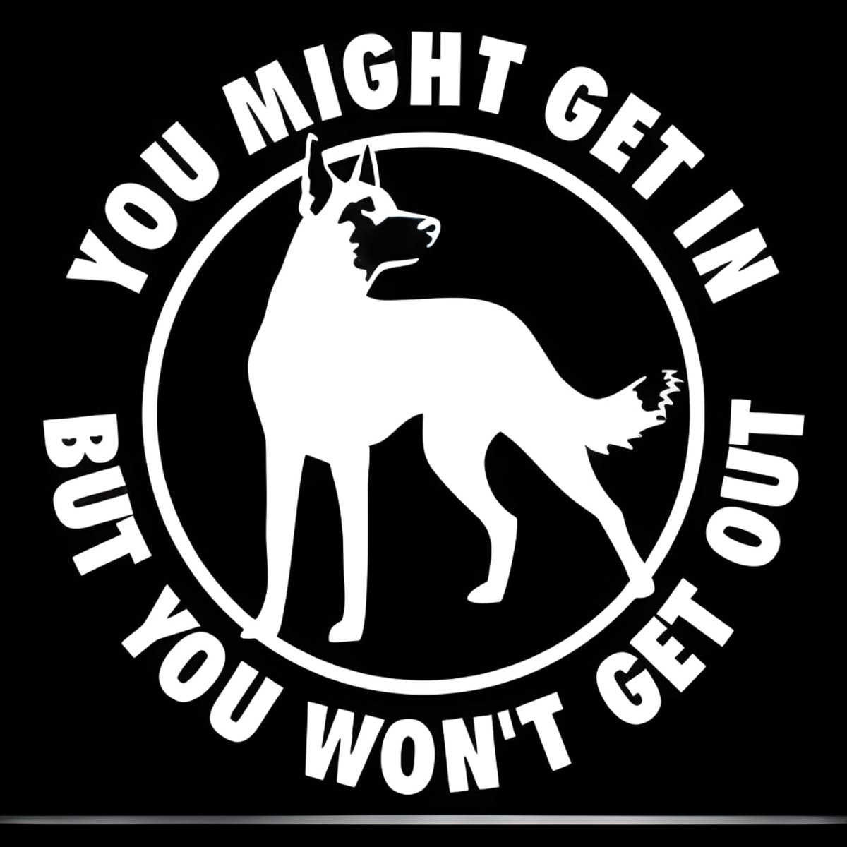 Belgische Malinois sticker 22 cm (8,7 inch) Belgische Malinois waarschuwingsbord sticker huisdier hond grappige sticker Belgische herdershond waarschuwing sticker bumper autoraam decor