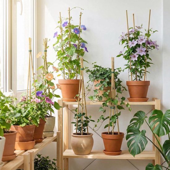 20 Stuks Bamboe Plantsteunen met Verweven Touwen voor Klimplanten, Tomaten en Tuinondersteuning (45 cm) — afbeelding 5