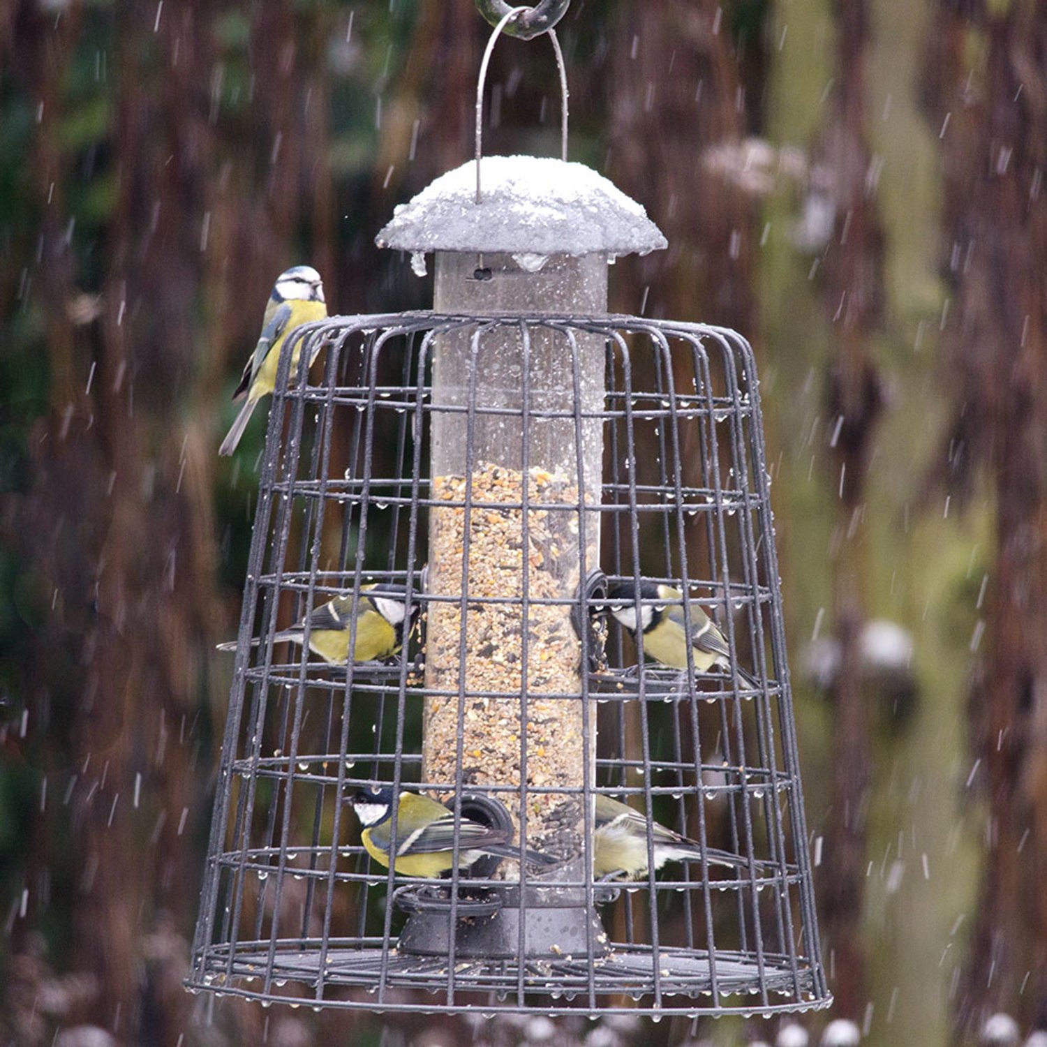 CJ Wildlife Voedersilo met Beschermkooi voor Tuinvogels - Adventurer - Vogelvoedersilo voor Kleine Vogels - Hangend Vogelvoederhuisje van 40cm - Vogelvoer Silo - Grafietgrijs