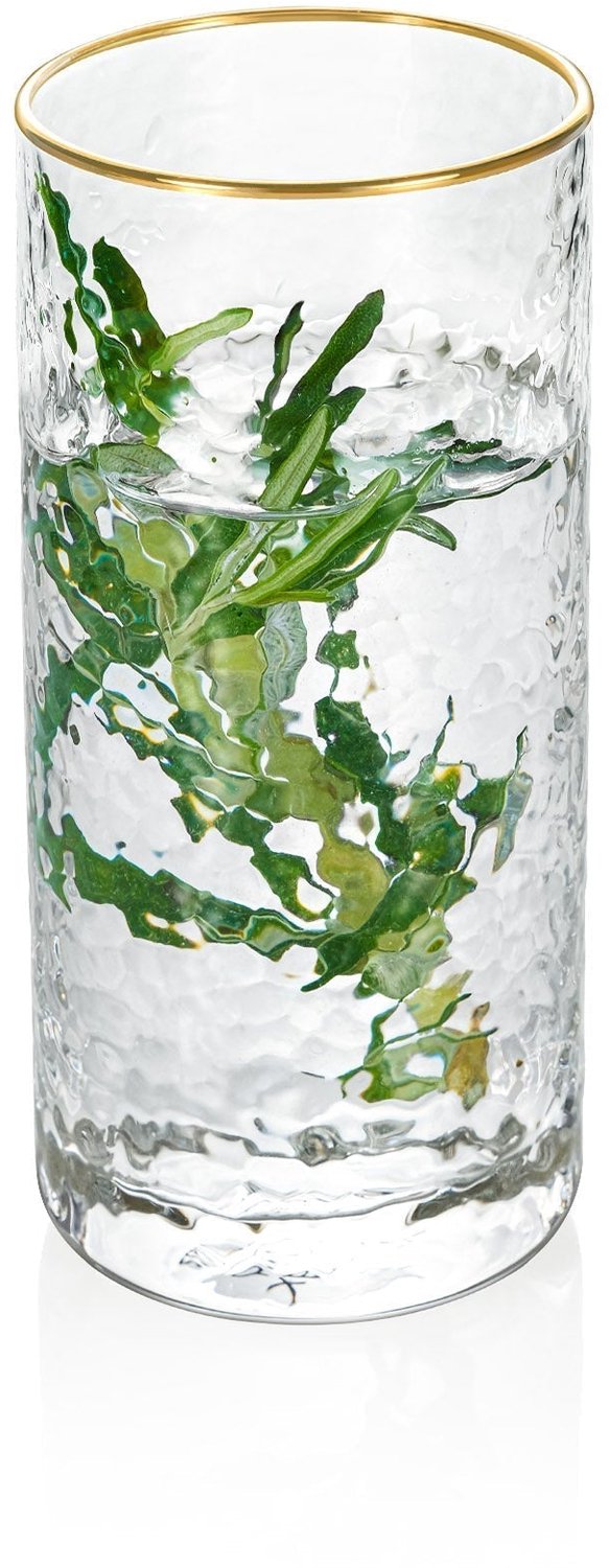 Wilmax Gouden Rand Glas 290 ml Borosilicaat WL-888631/A