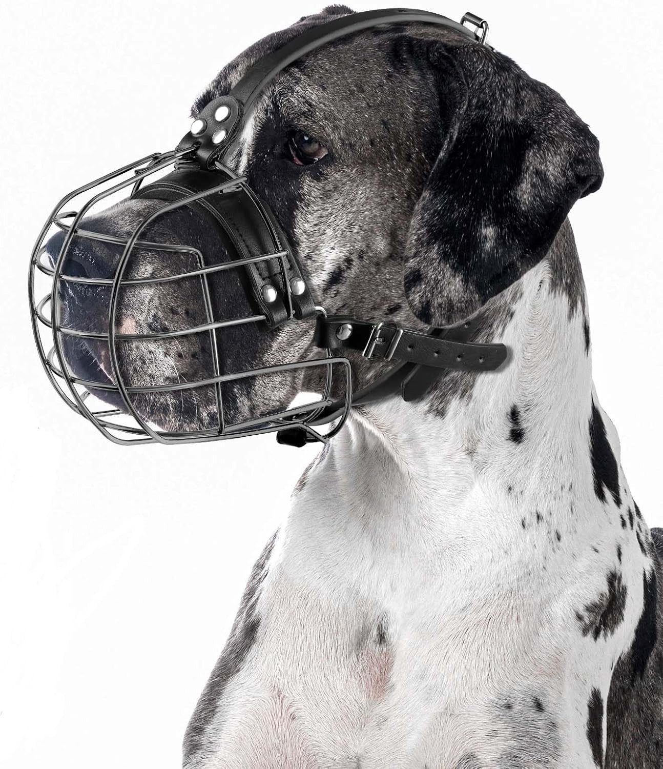 Veilige Hondenmuil met Leren Bandjes voor Grote Honden zoals Pitbull, Rottweiler en Doberman - Ademend en Verstelbaar Design in Zwart