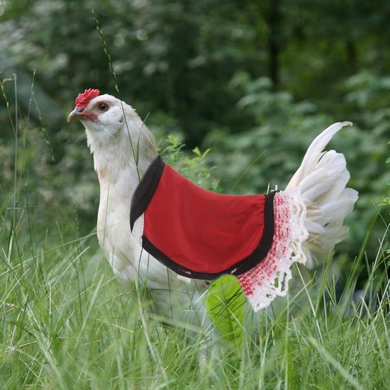 2 Stuks Verstelbare Kippenzadel Schort Universele Hen Vest Rugbeschermer voor Diverse Rassen Herbruikbare Gevogelte voor Bescherming van Vleugels Rug in Kippenhok — afbeelding 2