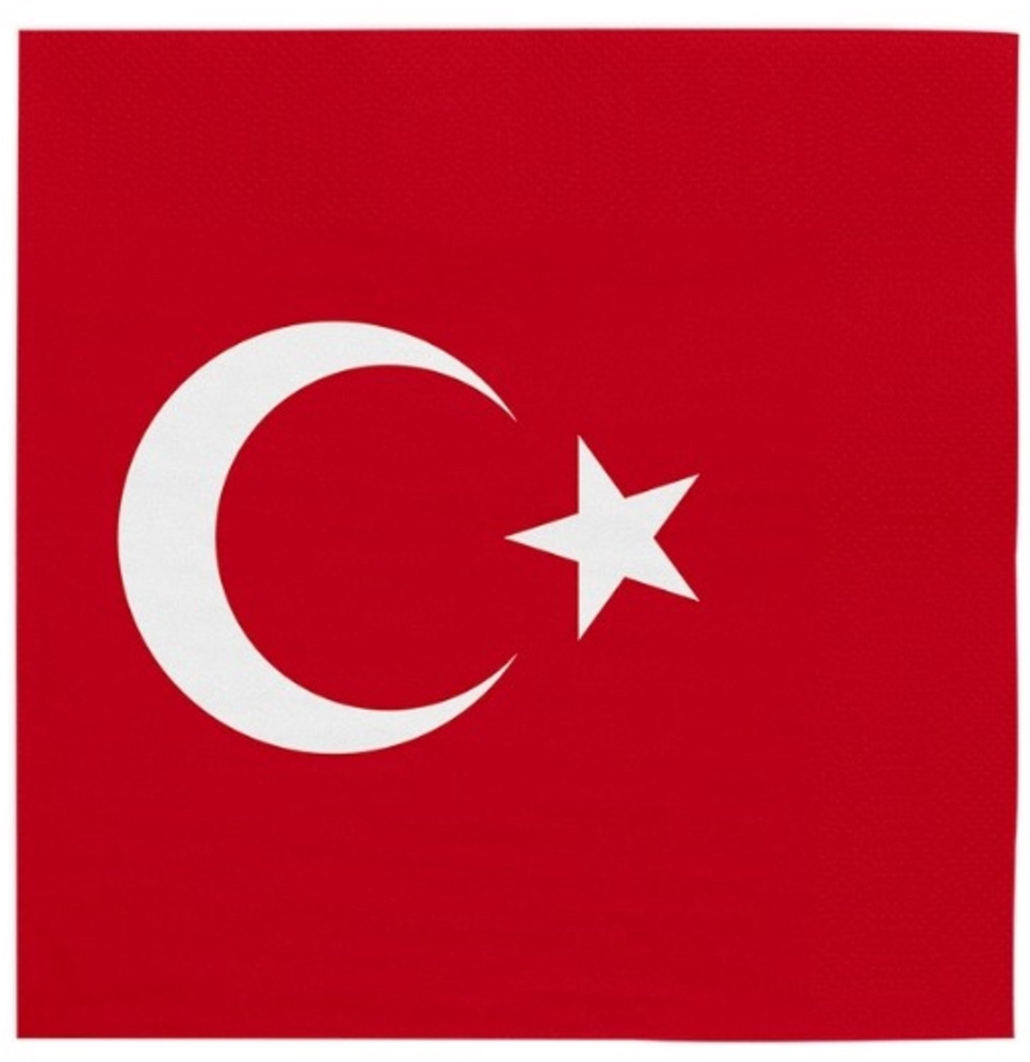 Servetten Turkije - 33x33cm - 20 stuks