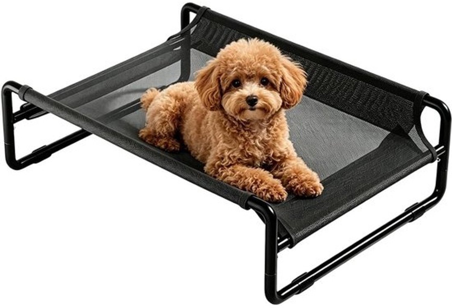 Verhoogd hondenbed - Buitenmand voor hond - Frisse rustplek - Houdt vocht weg - 61x46x21 cm - Zwart