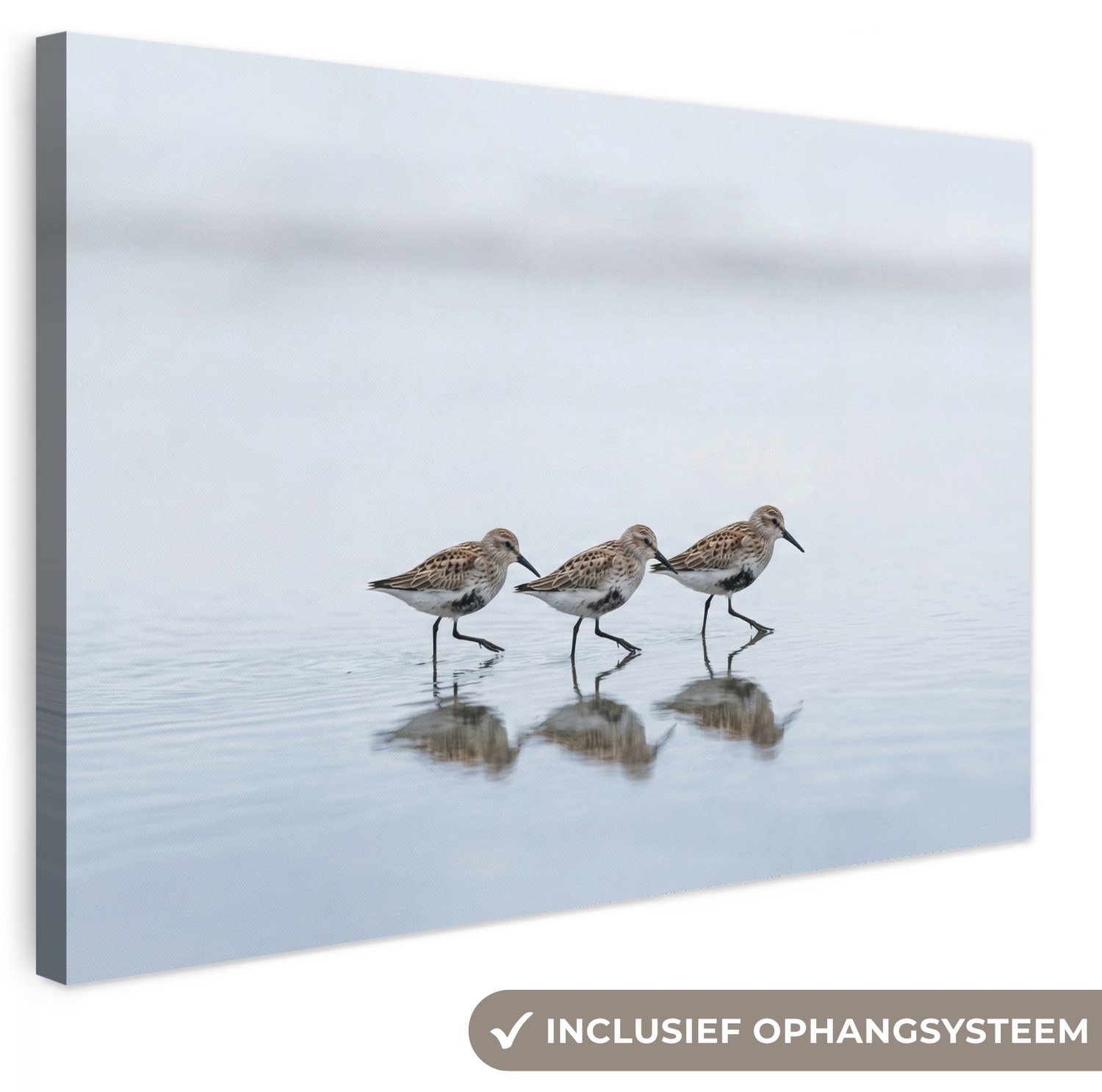 Canvas schilderij 90x60 cm - Exclusieve wanddecoratie Vogels - Water - Grijs - Muurdecoratie woonkamer - Slaapkamer decoratie - Kamer accessoires - Schilderijen op canvas