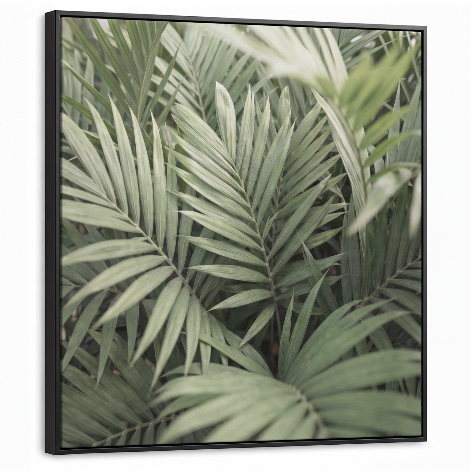 Canvas Schilderij met Baklijst - Plant - Palmbladeren - Natuur - Groen