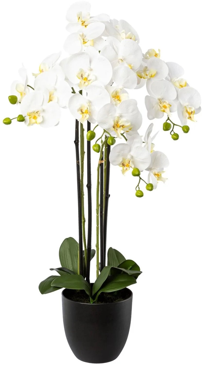 Kopu Kunstorchidee 83 cm - Wit - 4 takken - Zwarte pot - Phalaenopsis