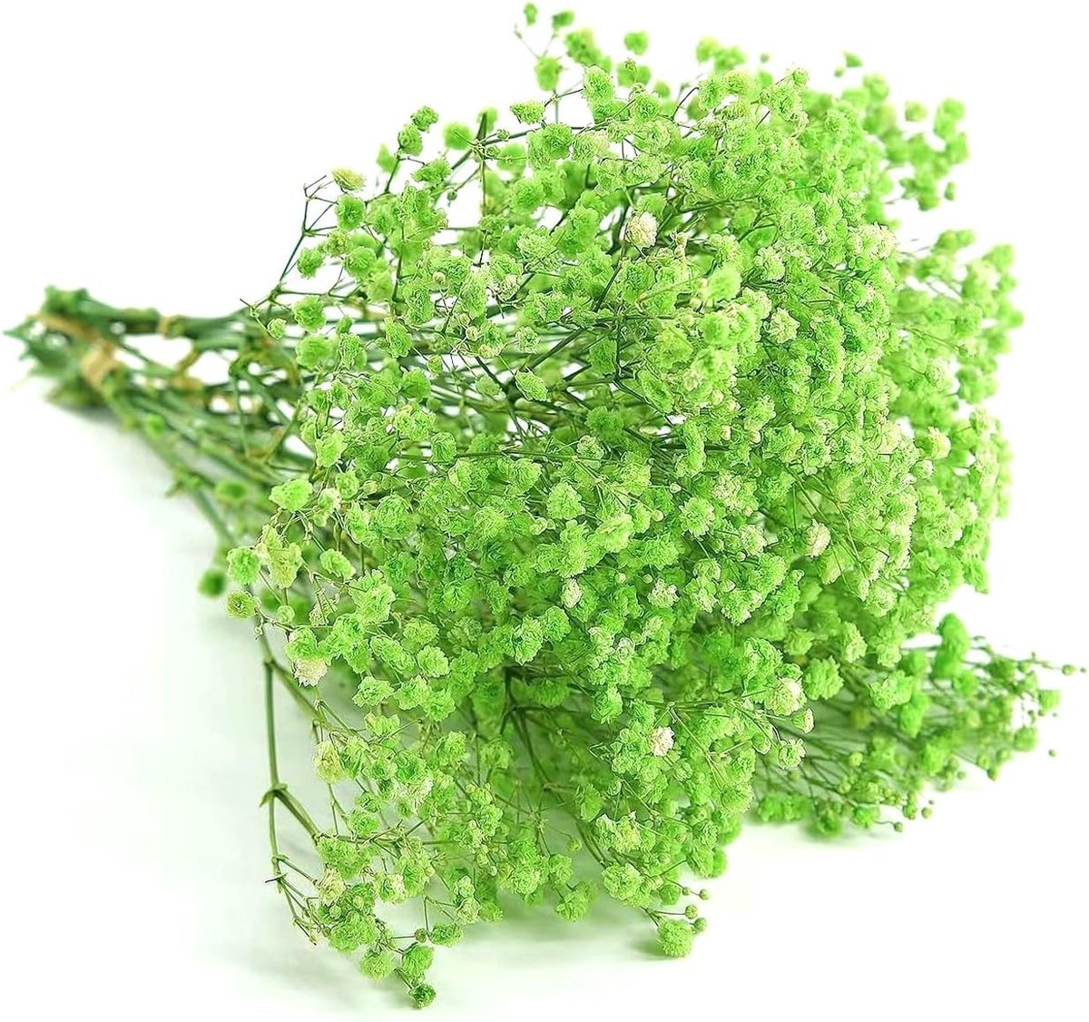 Dried Flowers Gypsophila voor Ambachten en Decoratie - Geschikt voor Cadeau Dozen, Scrapbooks en Geurkaarsen - 5 Stelen van Gedroogde Bloemen