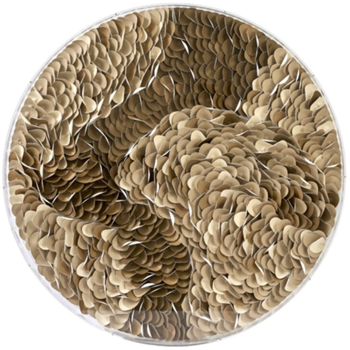 Light&living Wandornament Ø80x6 cm YAXUNA crème-bruin+helder