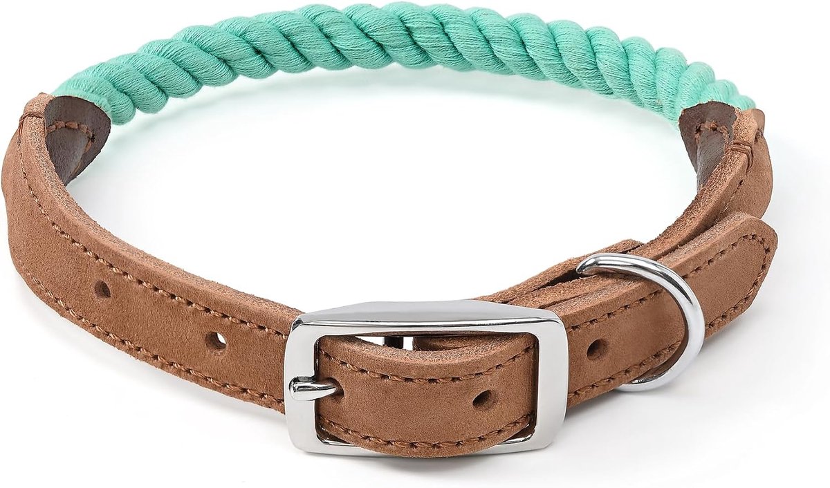 High Life Touw hondenhalsband | Duurzame gevlochten katoenen touw halsbanden | Echt lederen halsband met metalen gesp | Klassieke puppyhalsbanden voor middelgrote honden (groen)