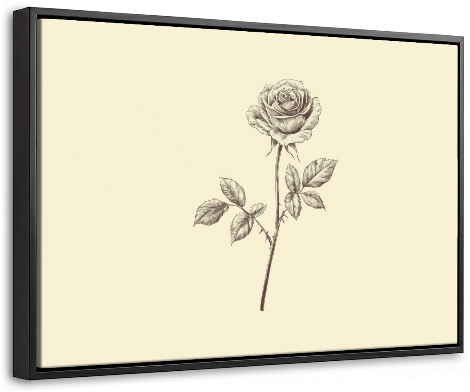 Canvas Schilderij met Baklijst 30x20cm - Illustratie - Zwart - Roos - Muurdecoratie woonkamer - Slaapkamer decoratie - Kamer accessoires - Schilderijen op canvas met lijst