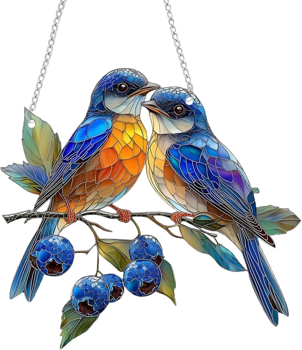 Zonnevanger van acryl met ketting, kleurrijke hangende zonnevanger, kolibrie, vogelhanger, raam- en deurdecoratie voor huis, studio
