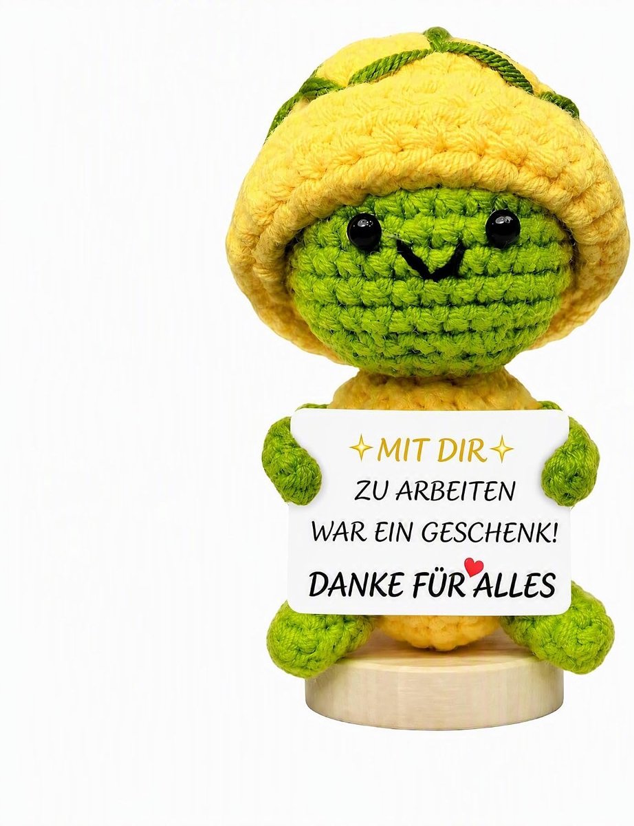 Collega, Gehaakte Schildpad, Cadeau-idee voor Collega