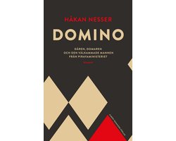 Domino : Dåren, domaren och den välkammade mannen från pirayaministeriet