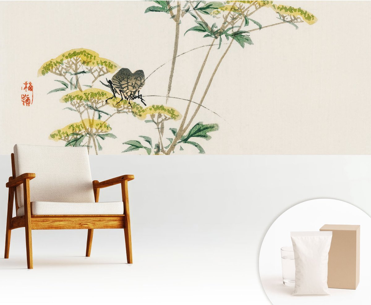 Wallfluent Fotobehang - Wit Vliesbehang - 250x104 cm - Bloemen Natuur Fotobehang Vlies - Hal behang Bloemen En Planten - Muurschildering - Hal behang