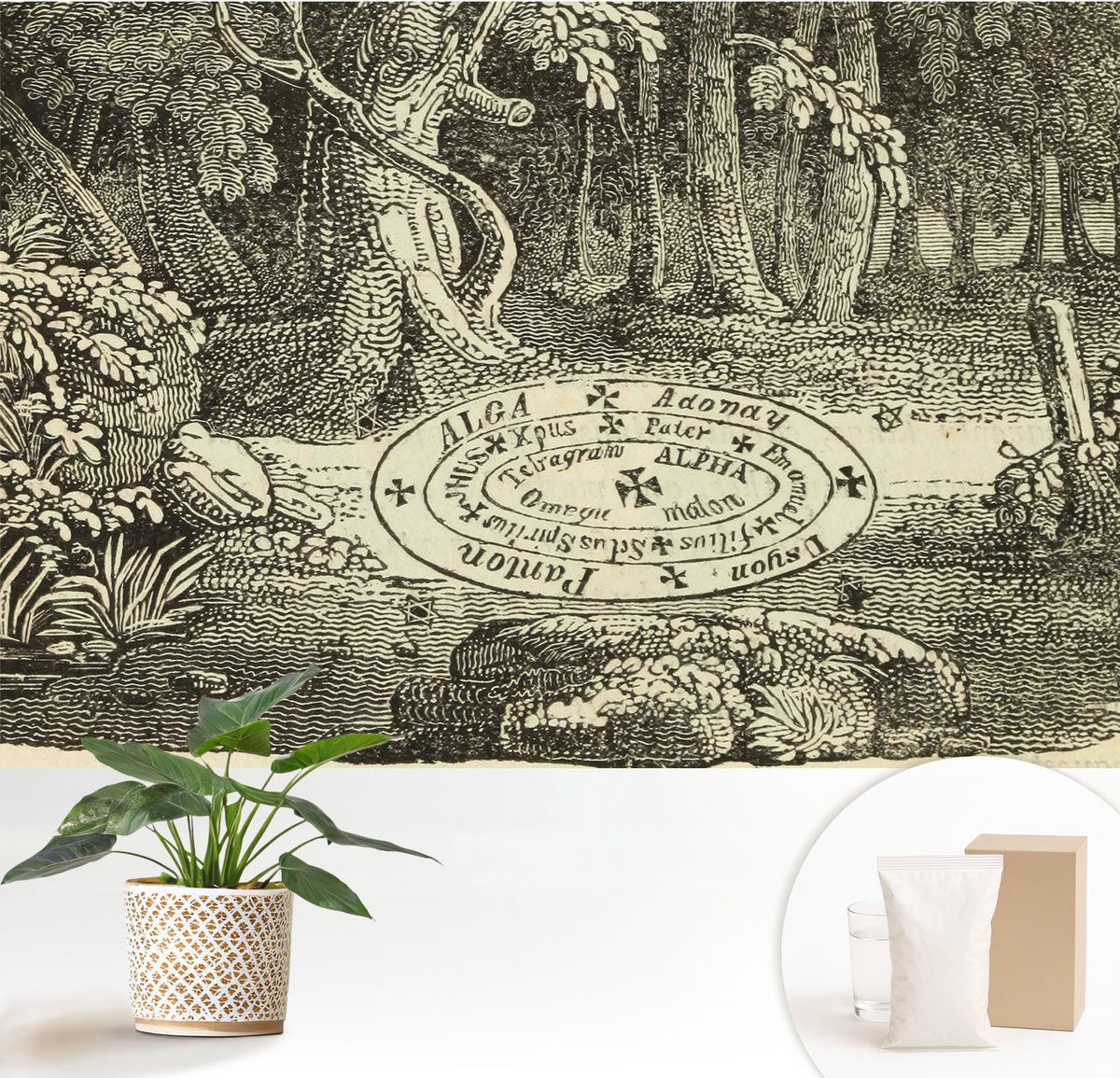 Wallfluent Fotobehang - Zwart-Wit Vliesbehang - 152x104 cm - Magische Cirkel Muurschildering - Gang behang Bloemen En Planten - Fotobehang Vlies - Slaapkamer behang