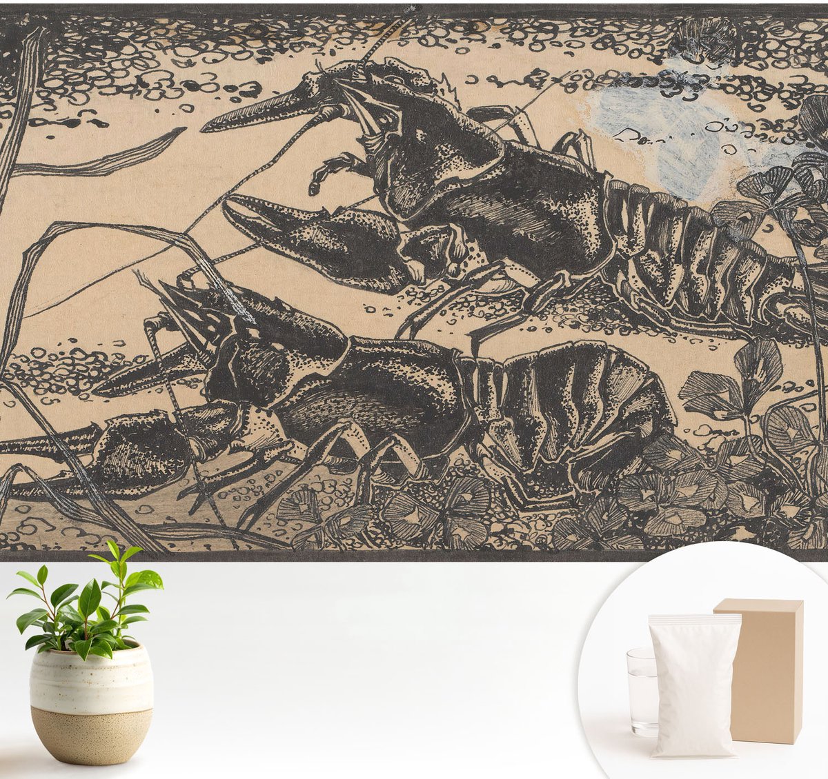 Wallfluent Fotobehang - Zwart Vliesbehang - 104x70 cm - Waterkreeft Muurschildering - Gang behang Dieren - Fotobehang Vlies - Slaapkamer behang