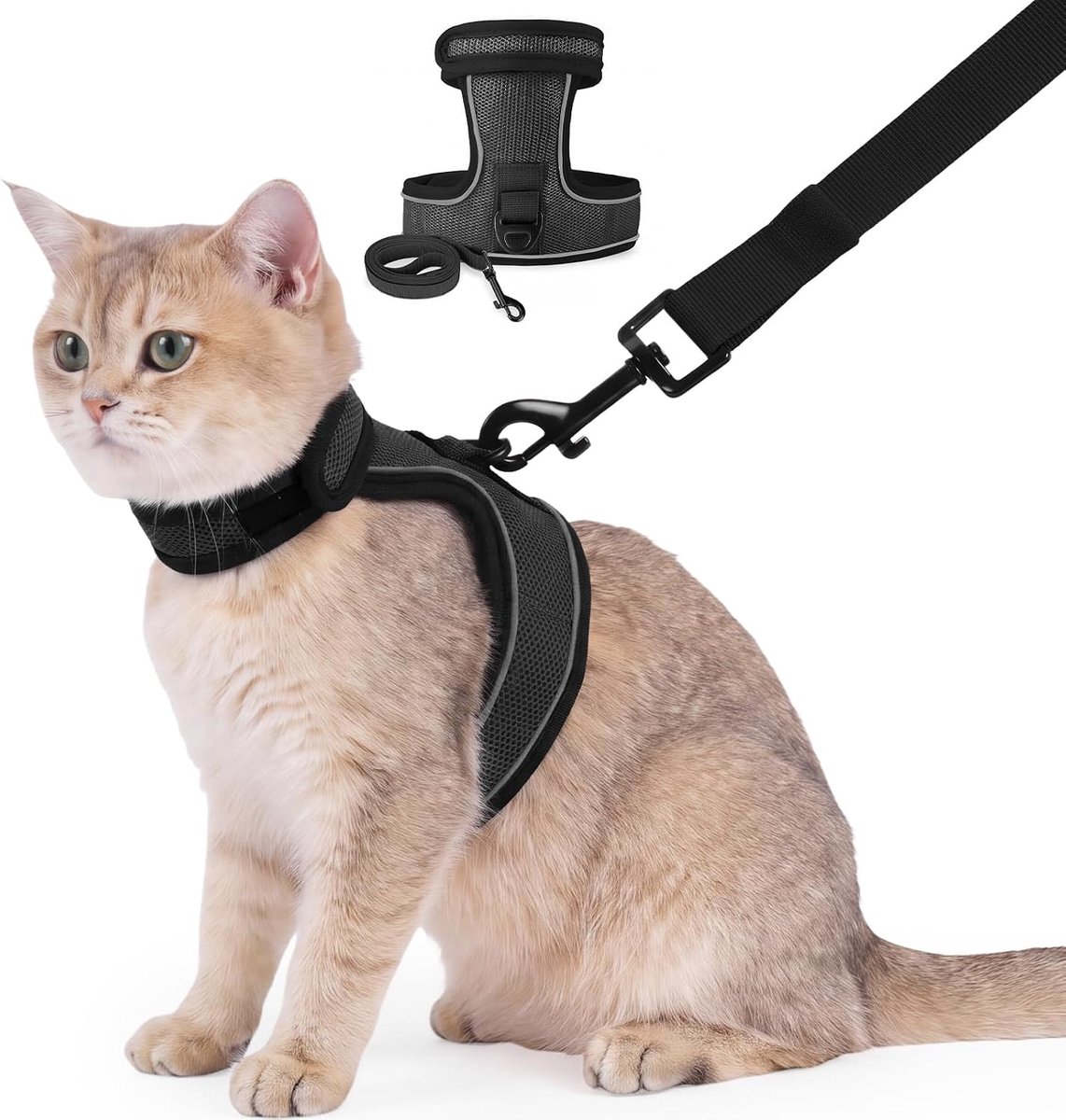 Set met kattenharnas en riem, verstelbaar ademend gaasvest om te wandelen