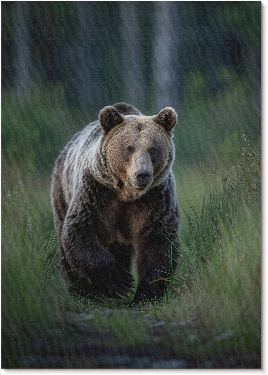 Tulup Polycanvas Wandposter - Boswinter, Fotografie - A3 - Wit Illustratie - Rechthoek - Canvasposter - Woonkamer, Slaapkamer, Kantoor - Klassiek