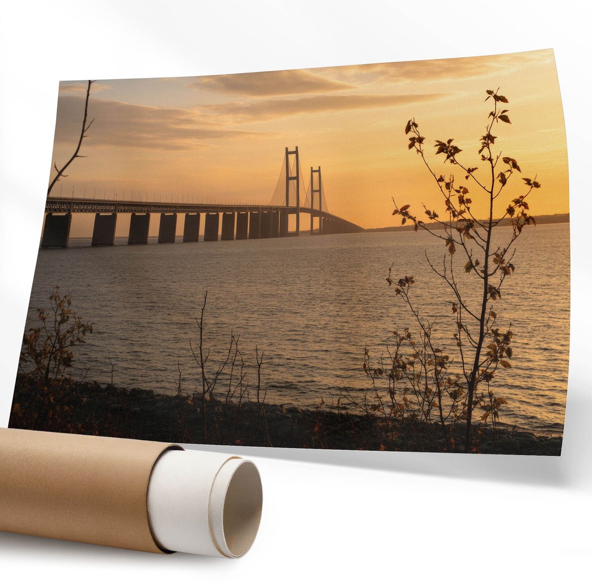Coloray Polycanvas Wandposter - De Olifant En De Majesteit, Fotografie - 594 x 840 mm - Bruin Decoratie - Rechthoek - Interieurdecoratie - Kantoor - Klassiek