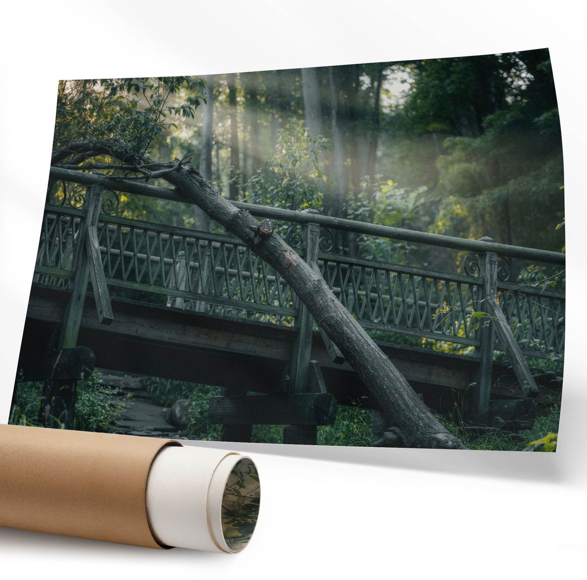 Coloray Polycanvas Wandposter – Bosbrug, Groen – 594 x 840 mm – Bruin Decoratie – Rechthoek – Canvas Wandposter – Kantoor – Klassiek