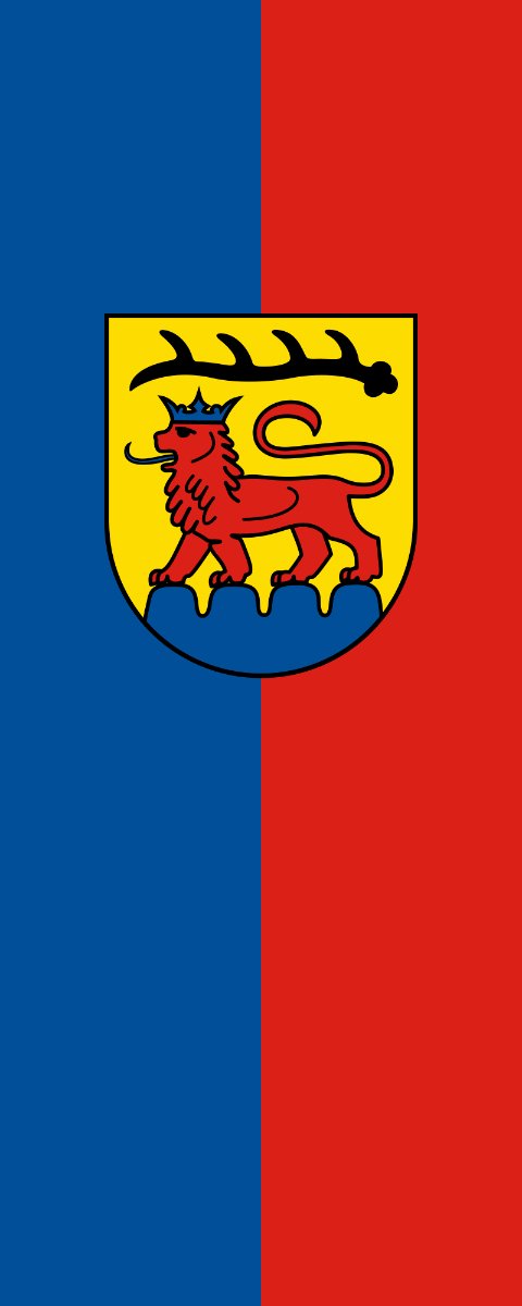 Vlag Vaihingen 200x300cm