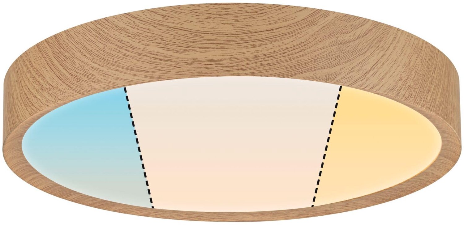 LED Plafondlamp voor de Badkamer met IP44 Bescherming