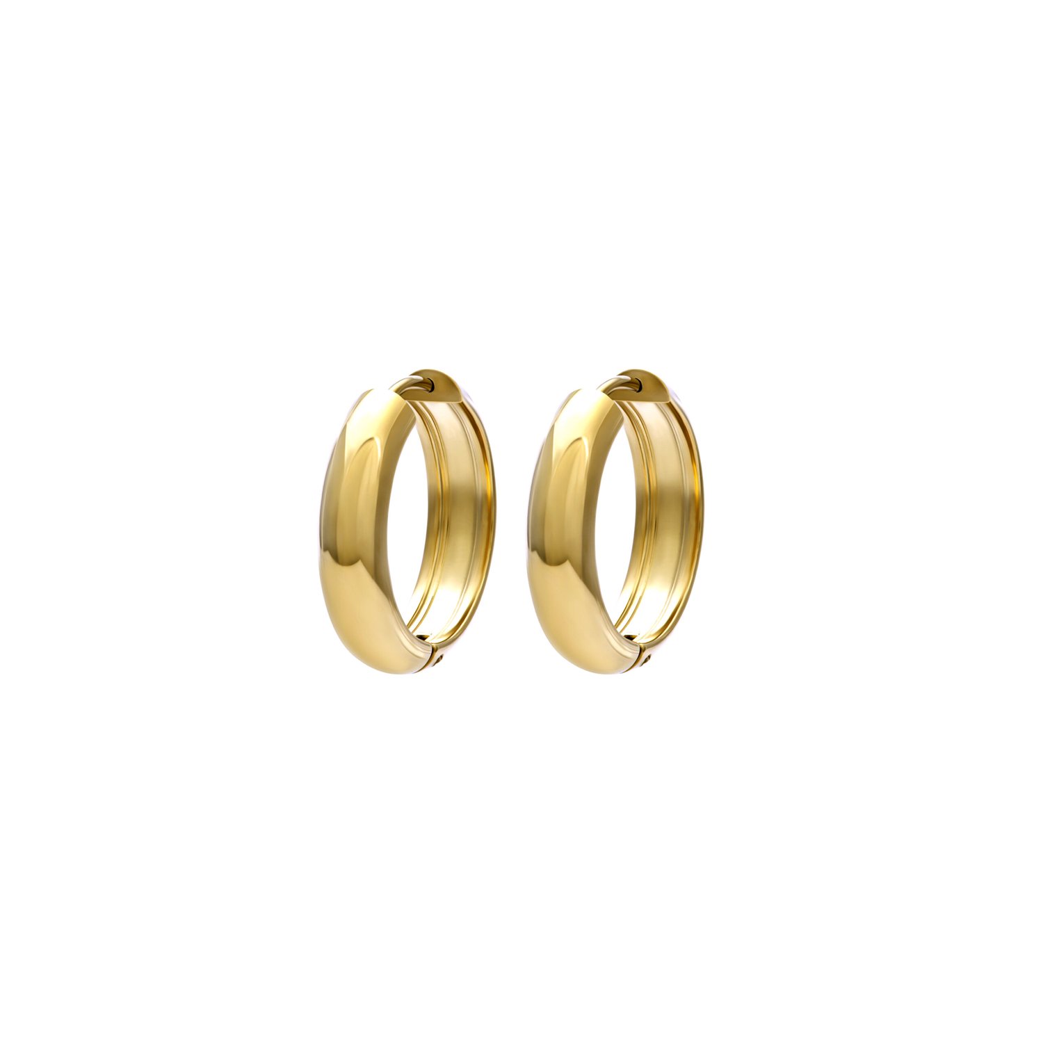 iXXXi Oorringen Olyra 17 mm | Goud