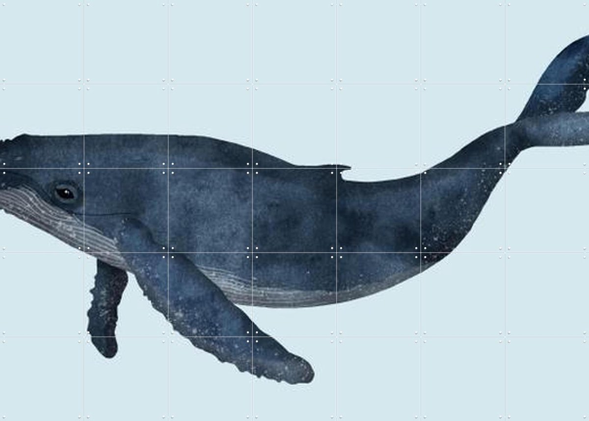 IXXI Whale, Merel Corduwener - 140 x 100 cm - Gratis ophangtool - Grote wanddecoratie en posters - Illustraties, Aquarel, Illustraties, Badkamer
