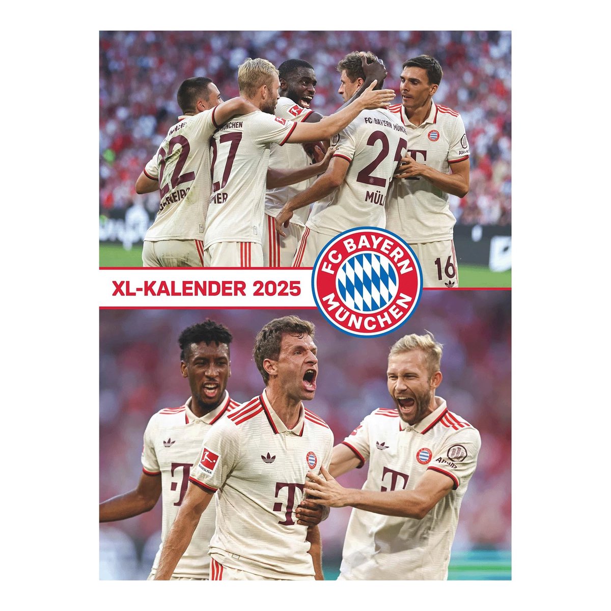 Elzusha - FC Bayern Munich 2025 Poster Kalender - 48x64 cm