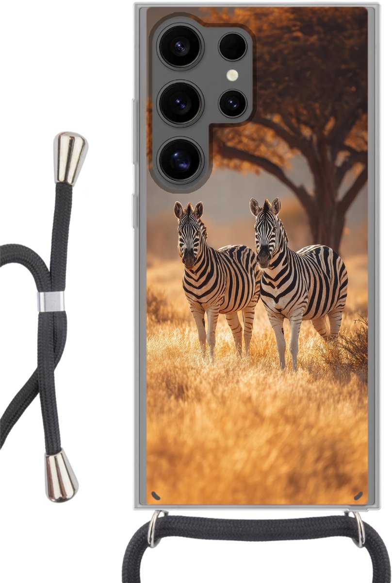 Zebra's - Savannelandschap - Gras