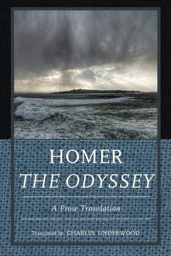 Homer The Odyssey - cover