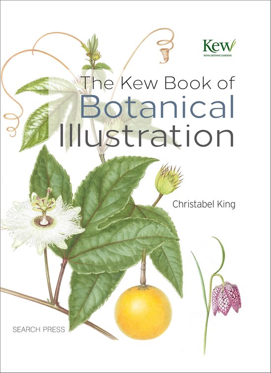 The Kew Book of Botanical Illustration - cover