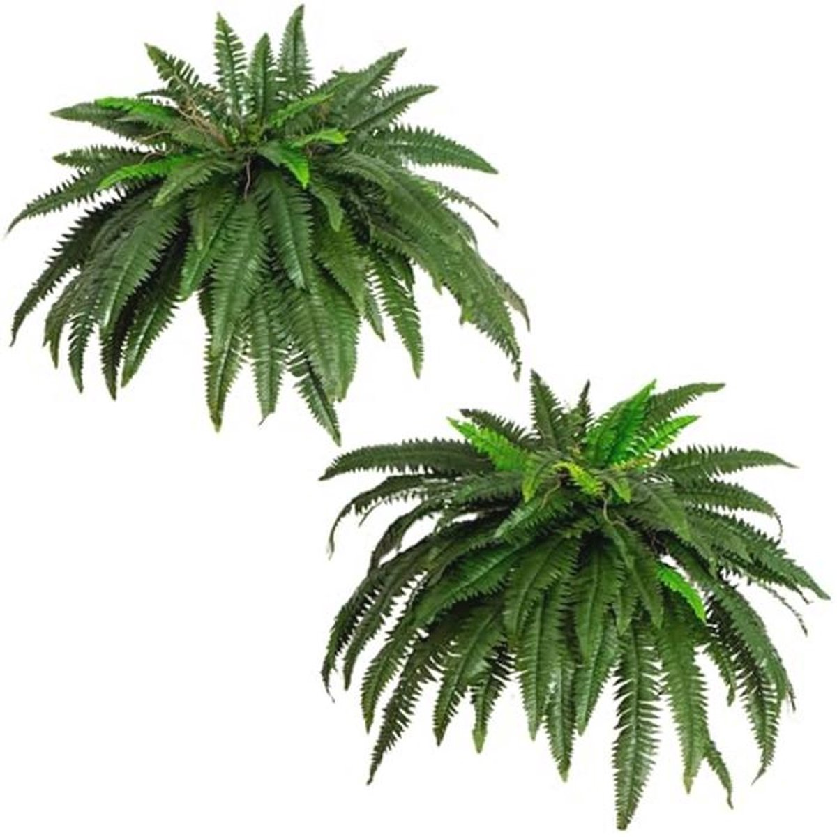 Set van 2 Boston Varen Planten - 48 inch Kunstplanten voor Thuisdecoratie