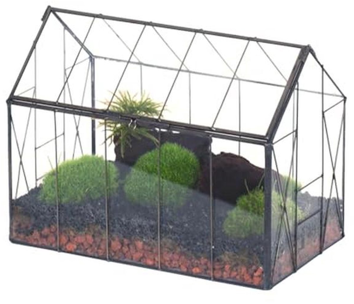 Geometrisch Glazen Terrarium voor Kleine Planten - Vintage Stijl en Decoratief Huis - Perfect voor binnen
