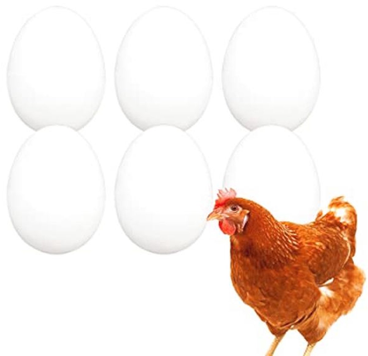 Set van 6 Stevige Dummy Kippen Eieren voor Nestbehulp