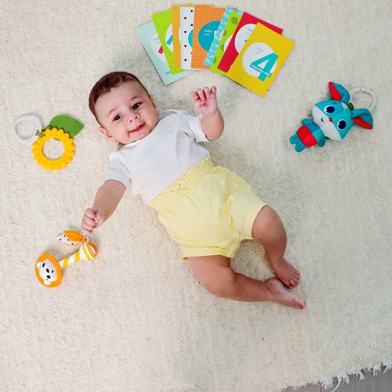 Tiny Love Meadow Days-cadeauset, Cadeauset voor baby´s met ontwikkelspeeltjes, zorgvuldig uitgekozen draagbare speeltjes, 0 m+ van Tiny Love — afbeelding 3
