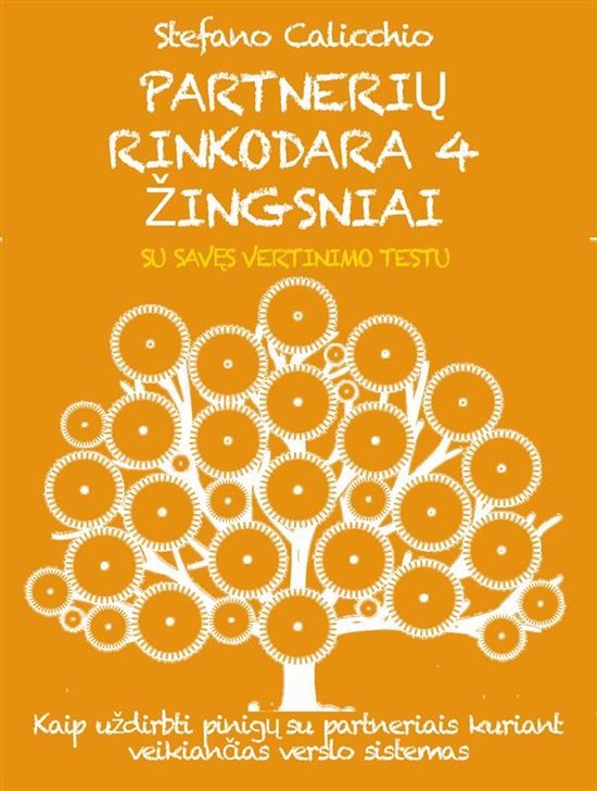 Partnerių rinkodara 4 žingsniai - cover