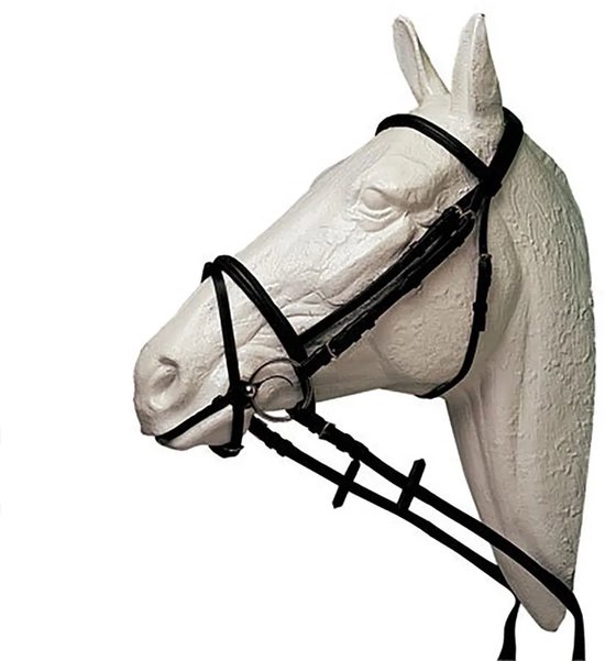 Halsband voor Engelse paard Hispano Hipica Halsband voor Engelse paard Hispano Hipica