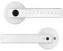 Slim deurslot, Bluetooth kogelslot met graffiti-effect, elektronisch slot voor houten deuren, combinatieslot voor deurgrepen