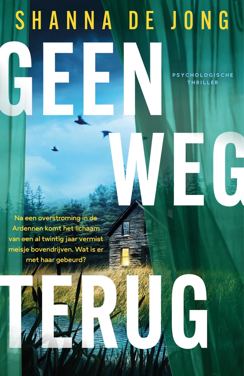 Omslag van Geen weg terug